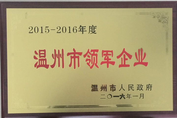 “2015—2016年度温州市领军企业”——浙江星空体育官网榜上有名
